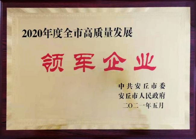 高质量领军企业